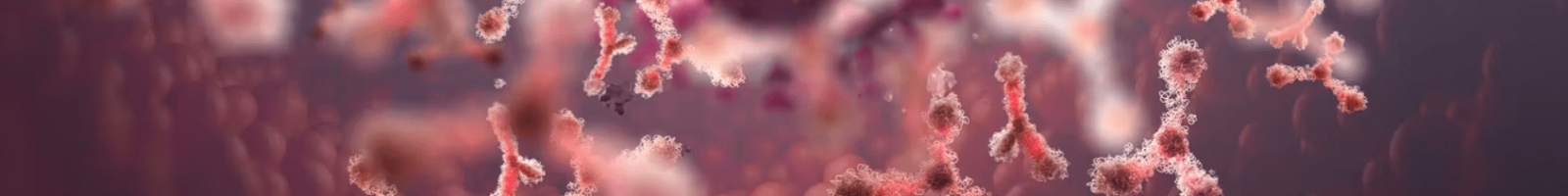 antibodies antibodies