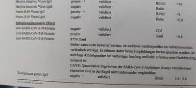 IMG 20220816 151531