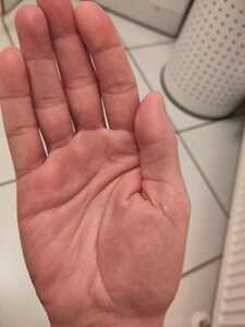 IMG 20221221 103218