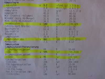 T Zellenschwäche T Zellenschwäche