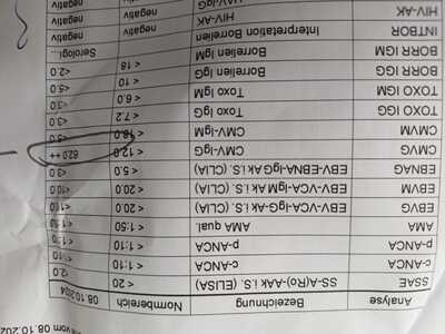 17401273118906922294925830569263